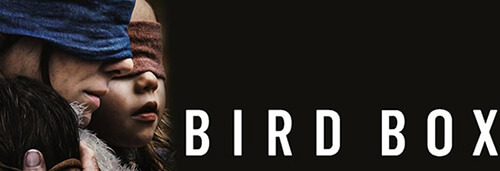 Bird Box review 2018